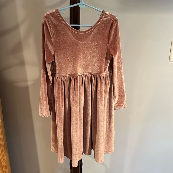 Pink Chicken Velvet Dress - Picture 1 of 3